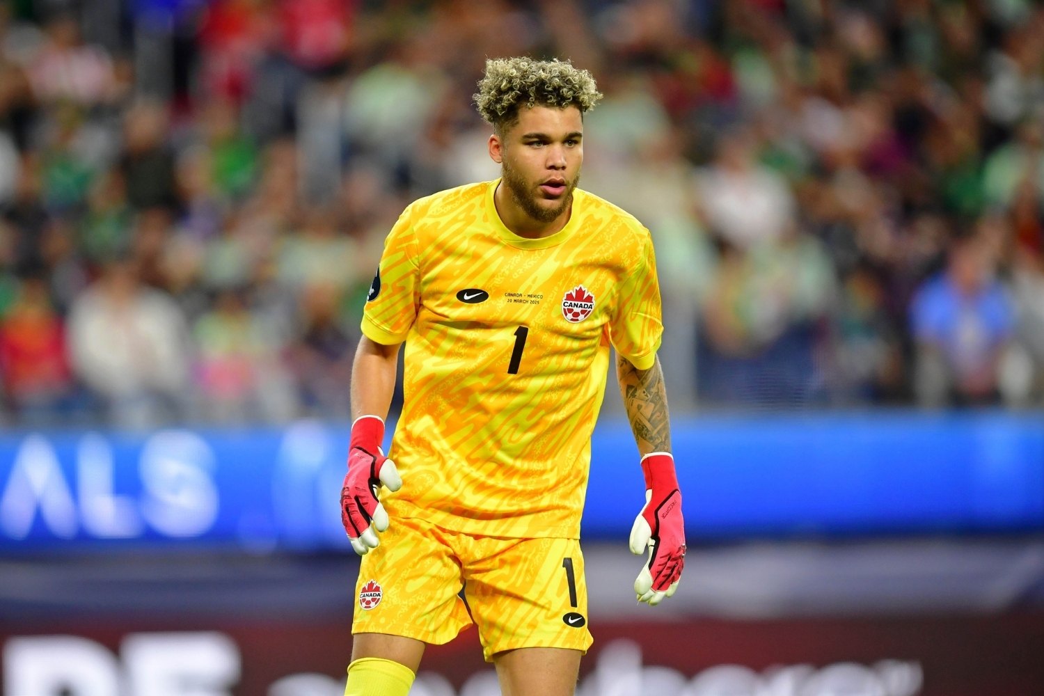 25 Facts About Dayne St Clair 