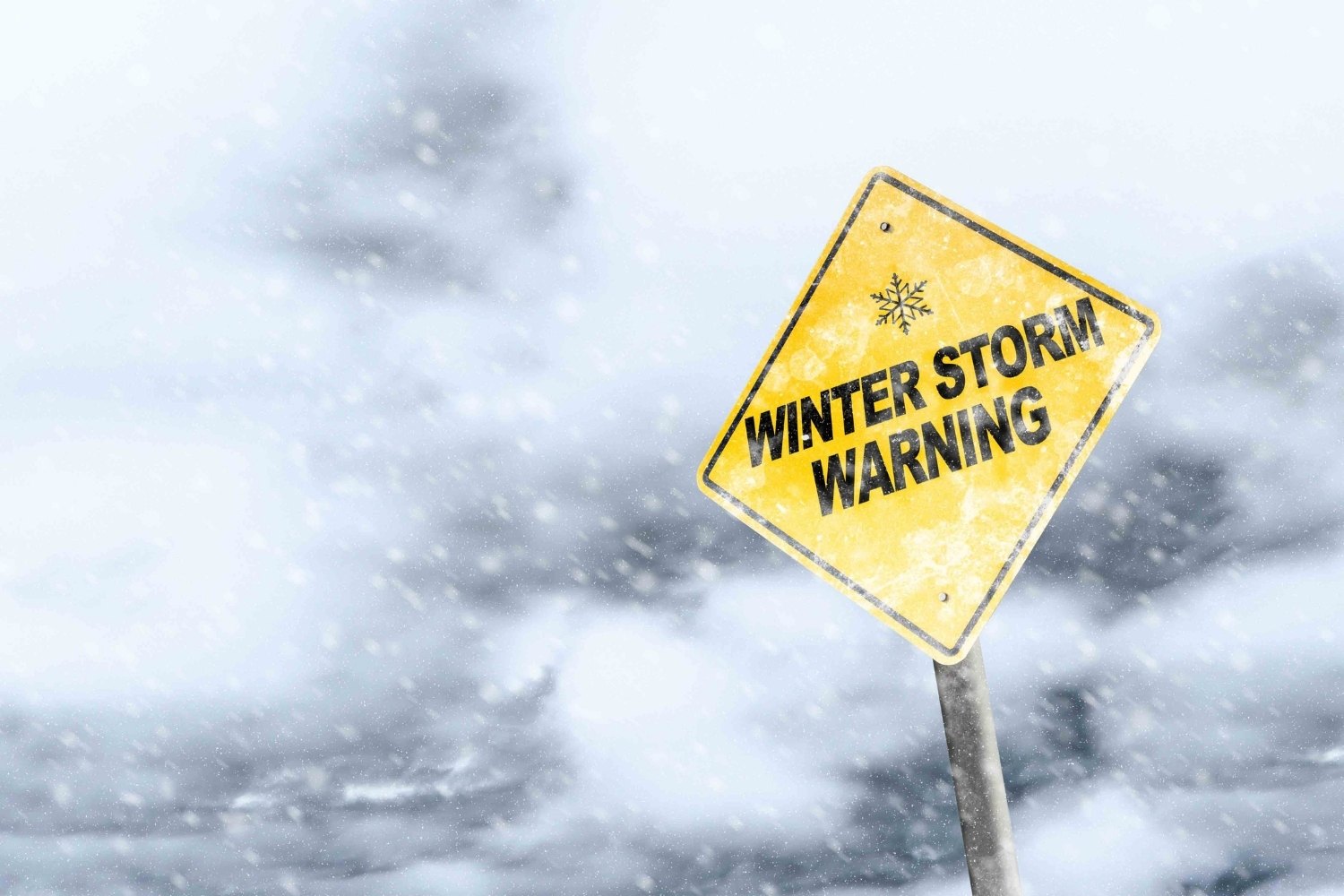25 Facts About Ice Storm Warnings 