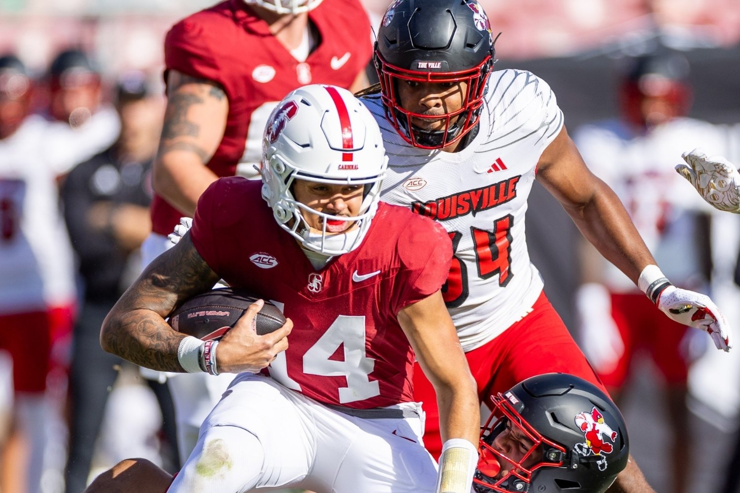 25 Facts About Louisville Vs Stanford 