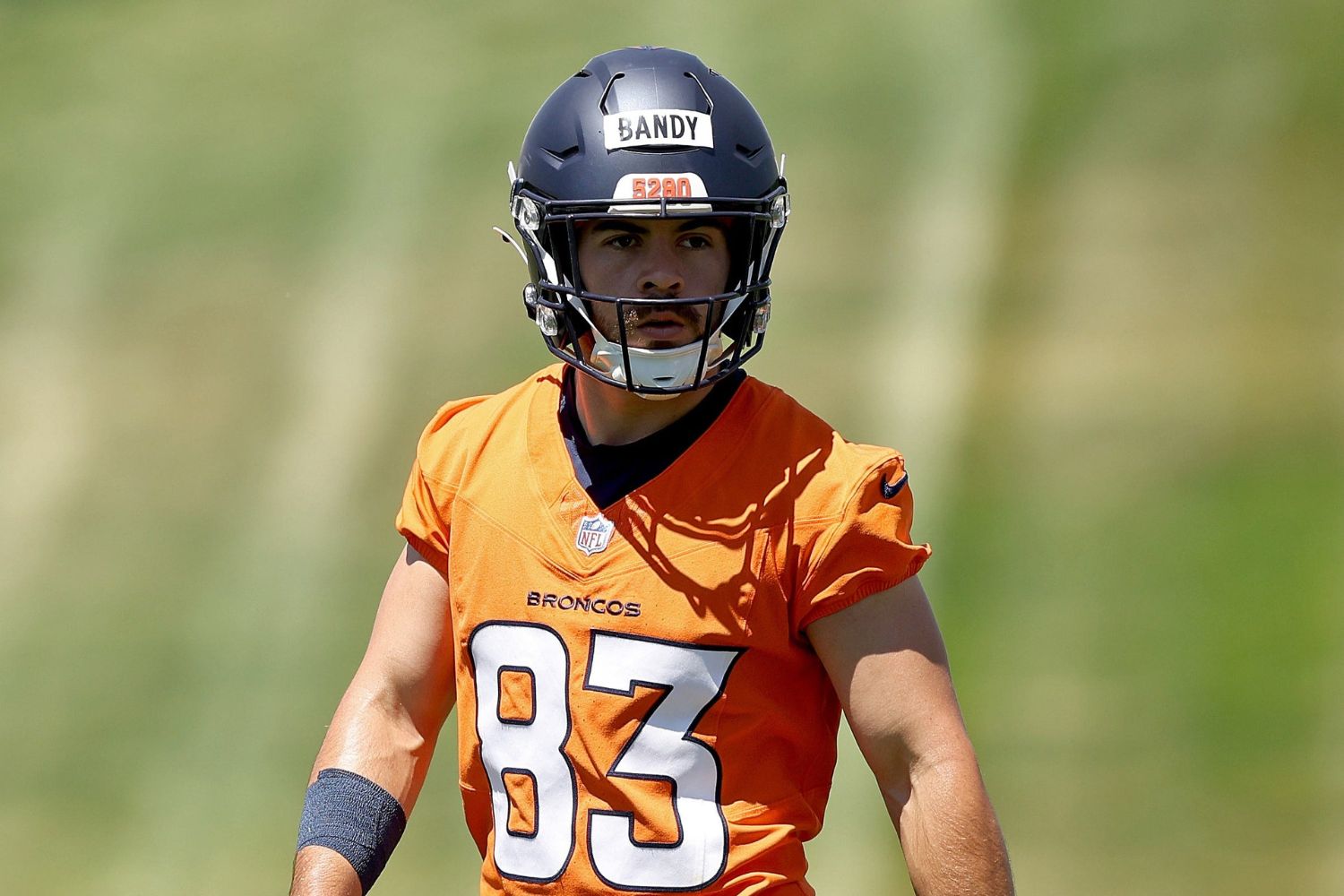 25 Facts About Michael Bandy 