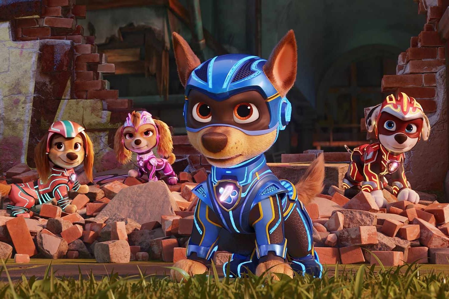 25 Facts About Paw Patrol 