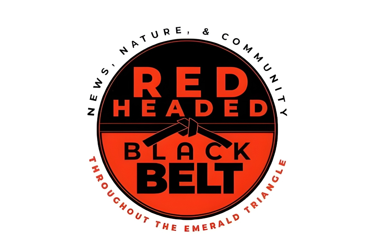 25 Facts About Redheaded Blackbelt 