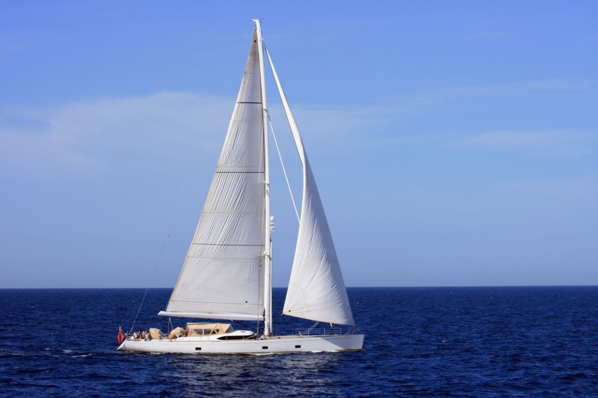 25 Facts About Sloops 