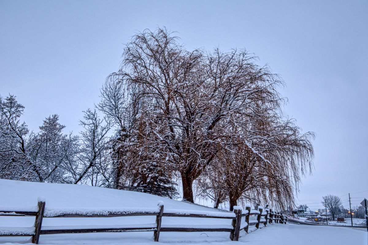 25 Facts About Snow Accumulation 