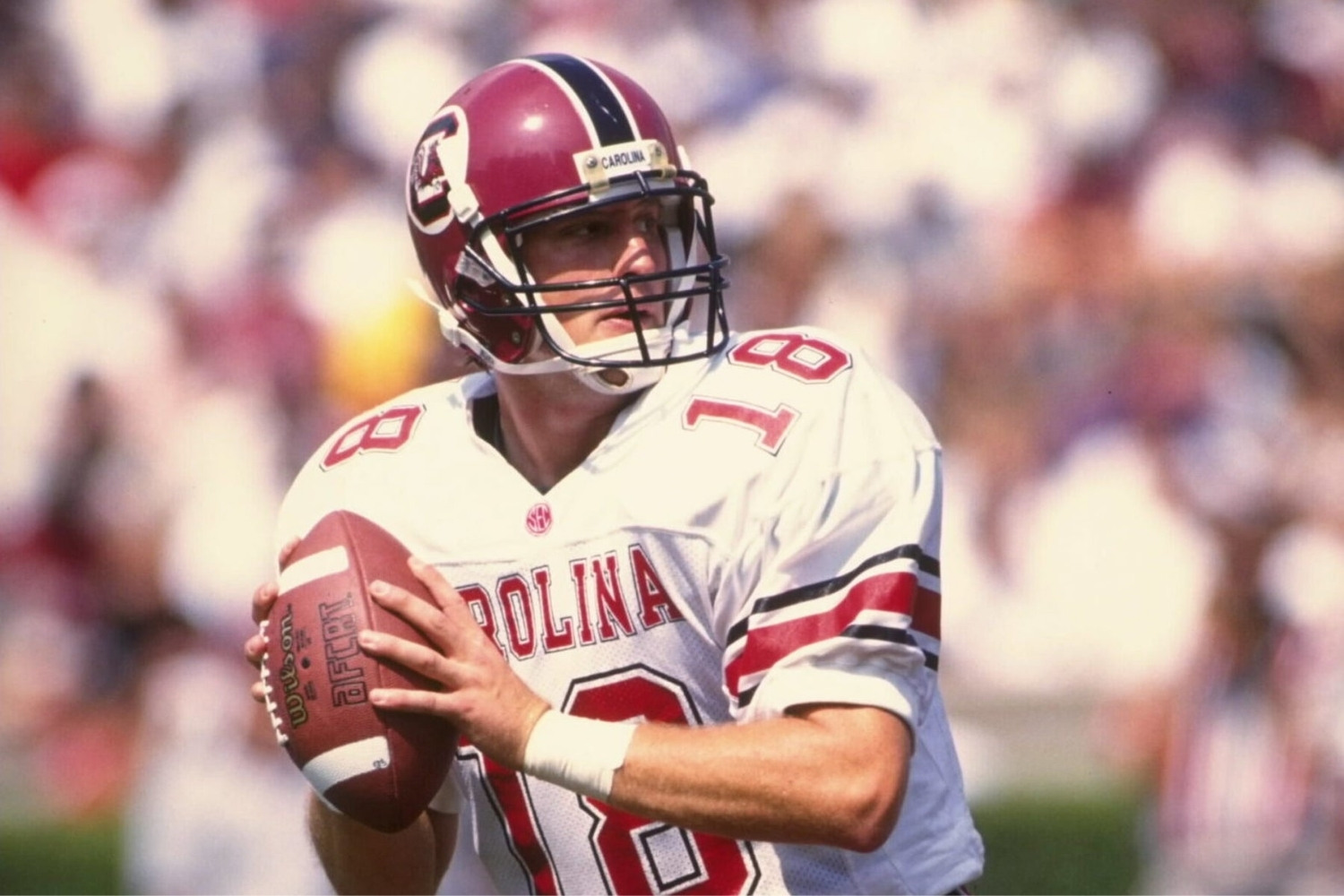 25 Facts About Steve Taneyhill 