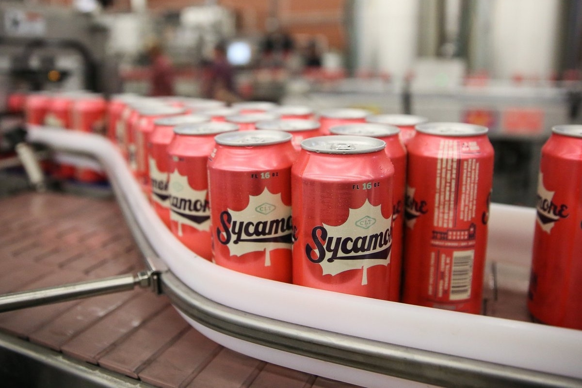 25 Facts About Sycamore Beer 