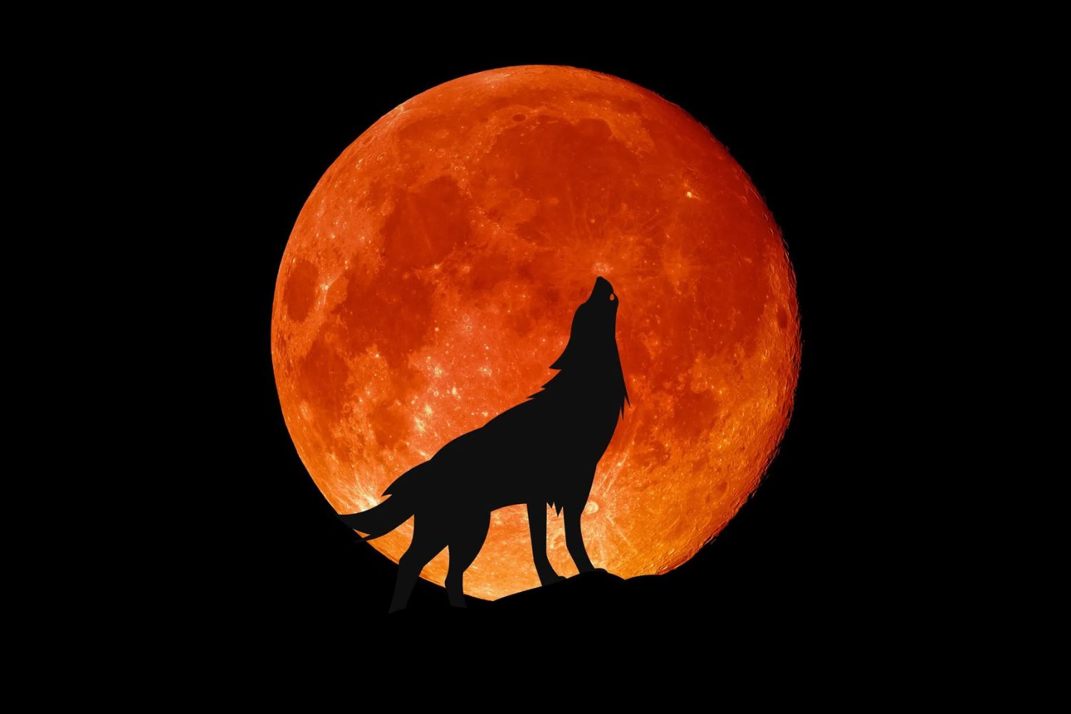 25 Facts About The Wolf Moon 